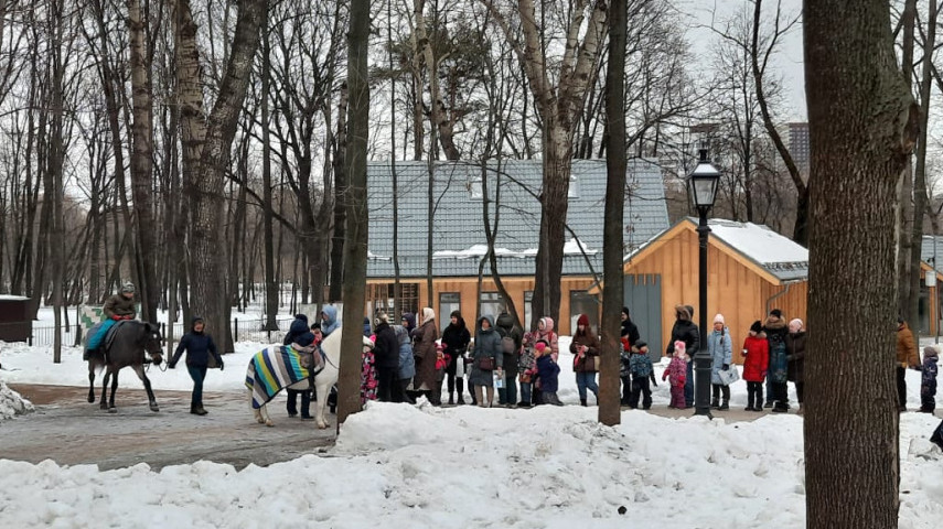 Конкурс «Подарок и письмо на Рождество»
