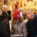IMG_7997.JPG