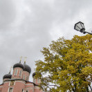 DSC_6396_1.jpg
