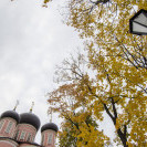 DSC_6441_1.jpg
