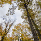 DSC_6437_1.jpg