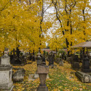 DSC_6450_1.jpg